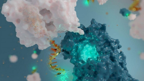 Канадські хіміки за допомогою ДНК створили найменшу антену в світі, яка можливо врятує не одне життя
