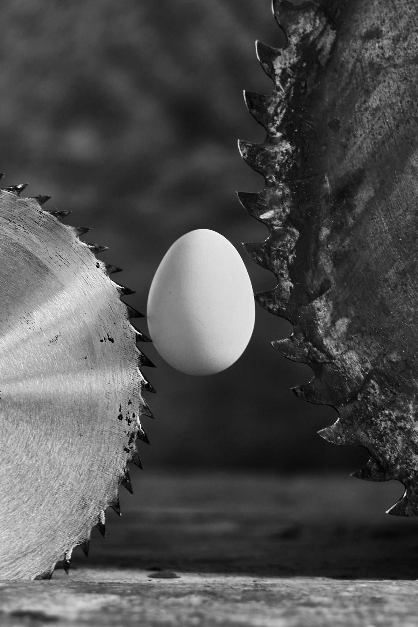 Серія «Ovum». Лімітований наклад десять екземплярів. 2025