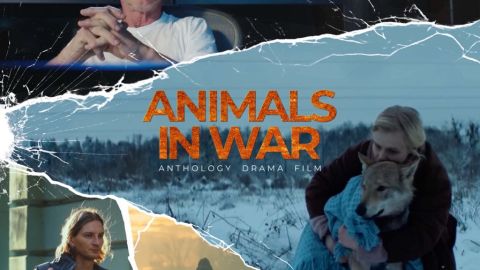 $readalso[$i]->imageAlt