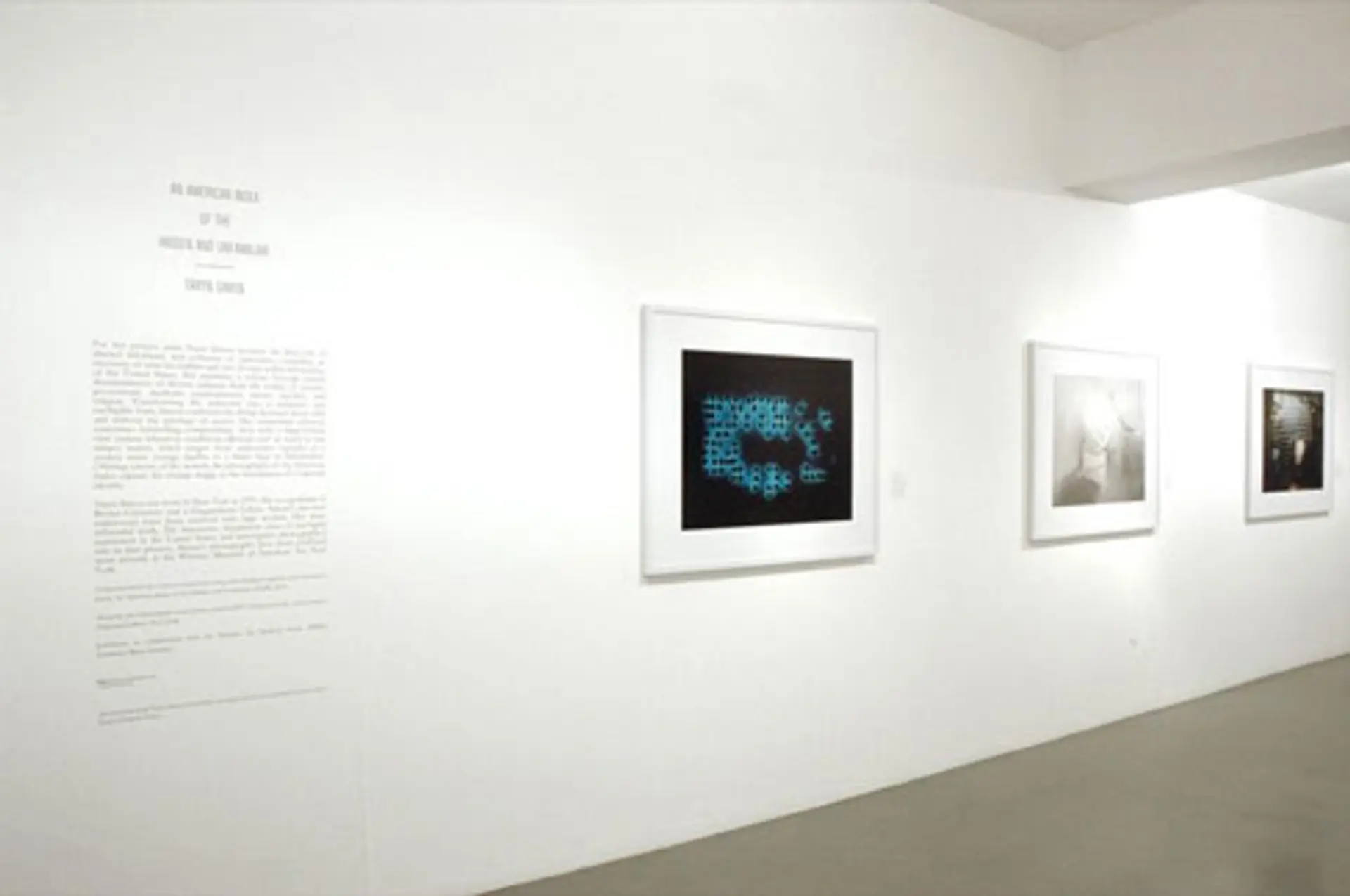 Выставка Тарин Саймон «Американский индекс скрытых и незнакомых», показывающая одну из ее работ, документирующих хранилище ядерных отходов